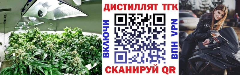 Купить  Десногорск  ТГК Wax 
