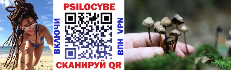 Псилоцибиновые грибы Magic Shrooms  Купить где  Десногорск 